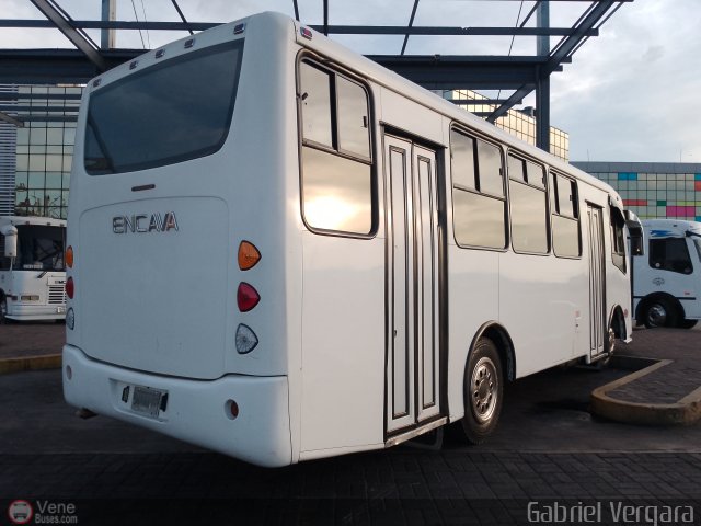 Organizaci�n Guaicamacuto 227 por Gabriel Vergara