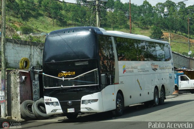 R�pidos Del Zulia 1274 por Pablo Acevedo