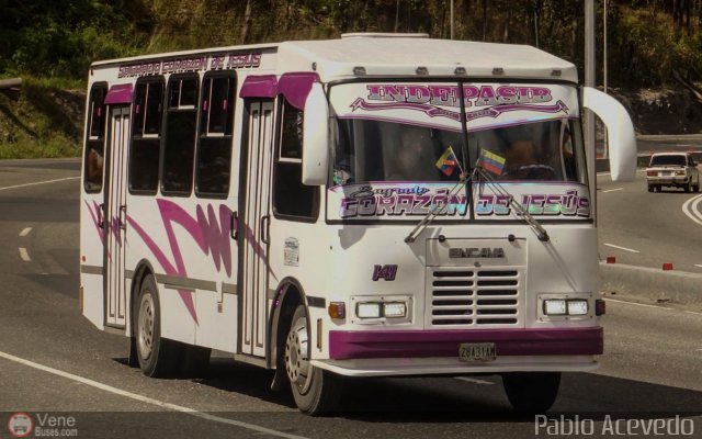 A.C. Indepasib 141 por Pablo Acevedo