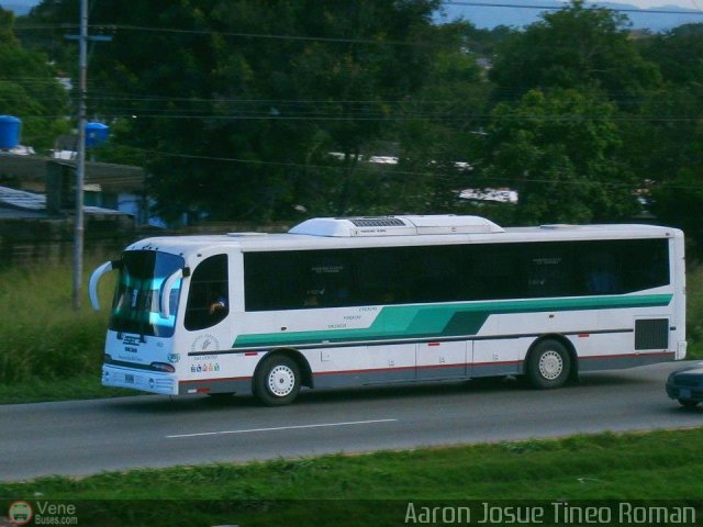 Servicios Especiales del Centro C.A. 55 por Alvin Rond�n