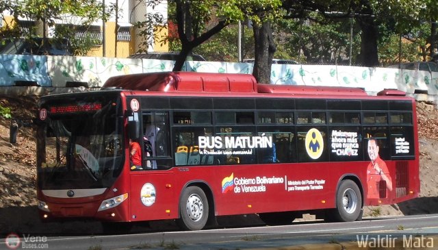 TransMonagas 03 por Waldir Mata