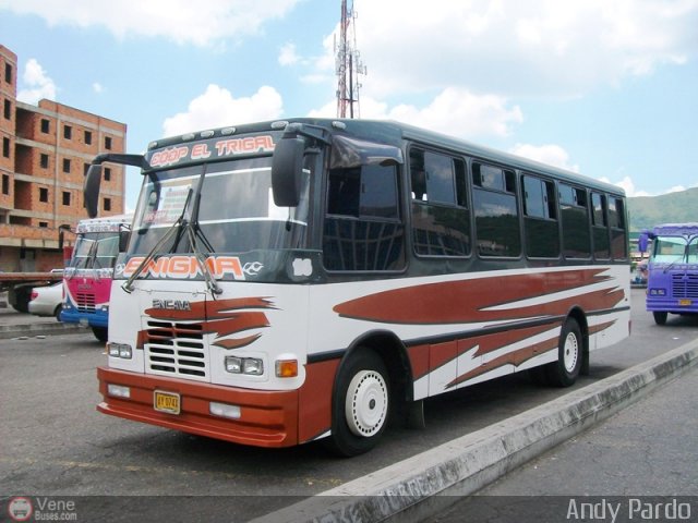 CA - Asociaci�n Coop. El Trigal R.L. 81 por Andy Pardo