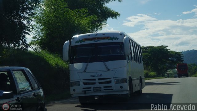 A.C. Transporte Paez 017 por Pablo Acevedo