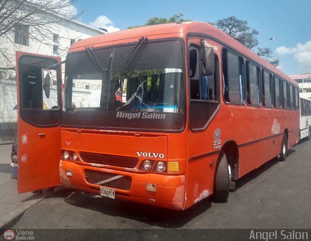 Organizaci�n Guaicamacuto 005 por �ngel Sal�n