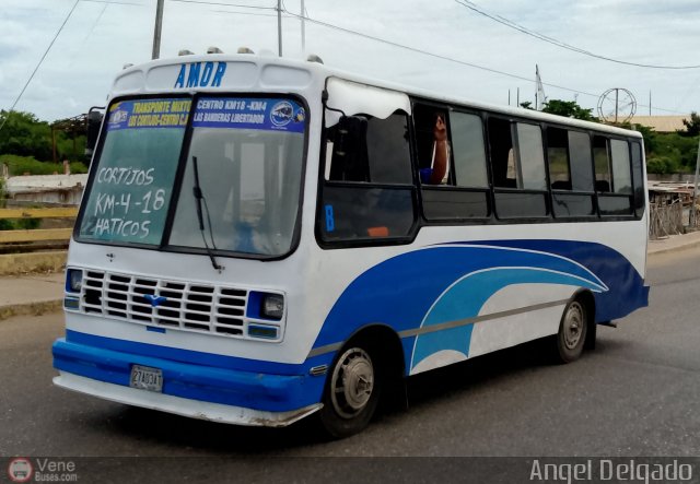 ZU - Transporte Mixto Los Cortijos 43 por �ngel Delgado