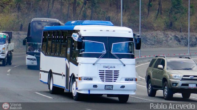 Particular o Desconocido Miranda por Pablo Acevedo