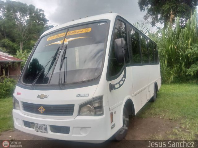 TA - A.C. R�mulo Gallegos 099 por Jerson Nova