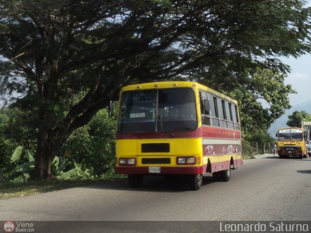 Colectivos El Vig�a 50 por Leonardo Saturno