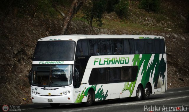 Expresos Flamingo 0132 por Pablo Acevedo