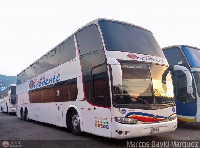 Expresos Occidente 242 por Marcos David M�rquez