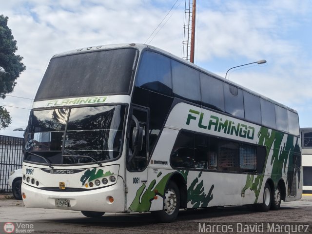 Expresos Flamingo 0061 por Marcos David M�rquez