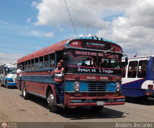 A.C. Trans Magdaleno 2016 014 por Andr�s Ascanio