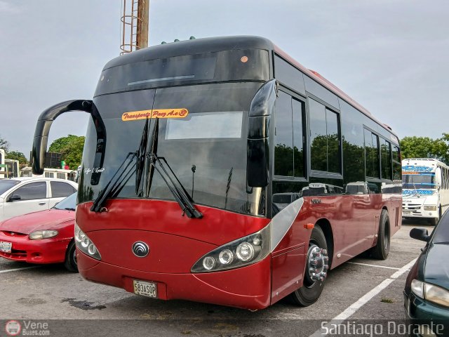 A.C. Transporte Paez 010 por Santiago Dorante