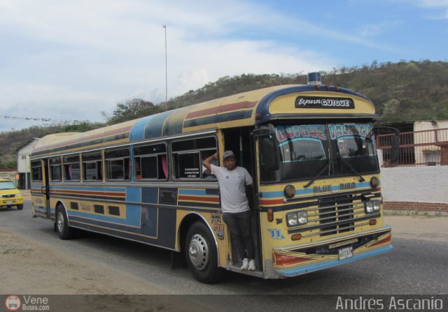 Expresos Gige 11 por Andrs Ascanio