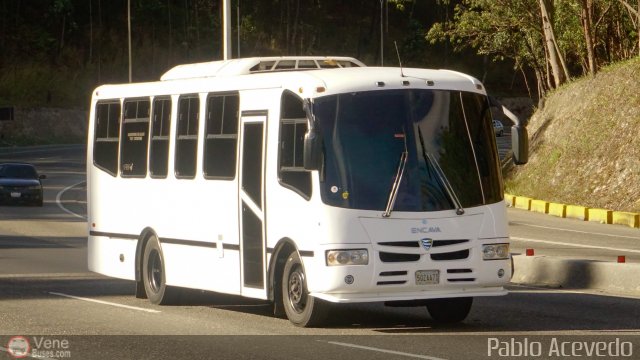 Particular o Desconocido Miranda por Pablo Acevedo