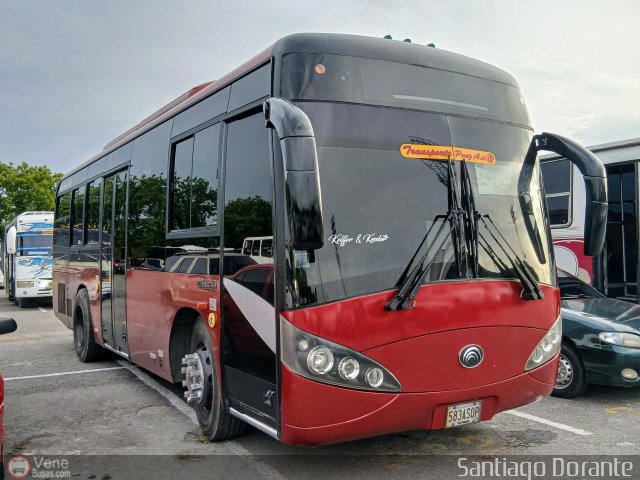 A.C. Transporte Paez 010 por Santiago Dorante