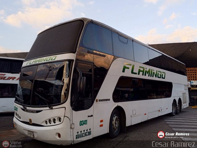 Expresos Flamingo 0341 por C�sar Ram�rez