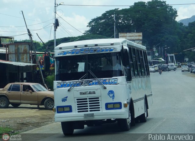 A.C. L�nea La Pascua 064 por Pablo Acevedo