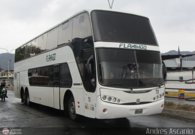 Expresos Flamingo 0070 por Andrs Ascanio