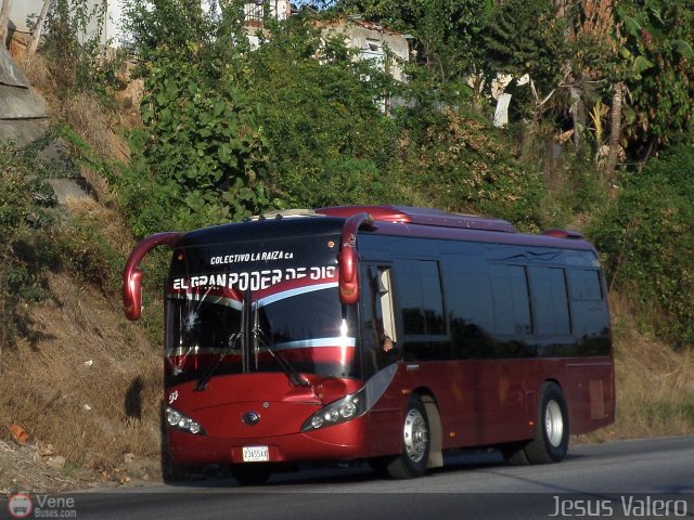 Colectivos La Raiza C.A. 04 por Jes�s Valero