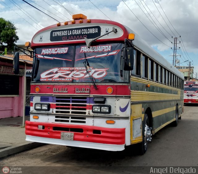 Expresos La Gran Colombia 37 por �ngel Delgado