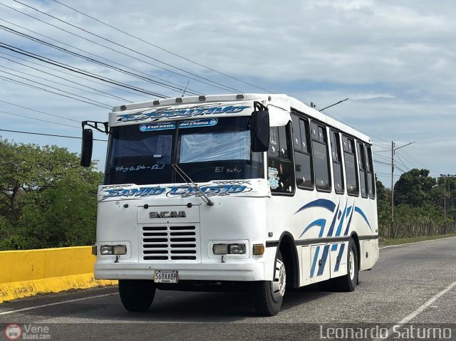 S.C. L�nea Transporte Expresos Del Chama 203 por Leonardo Saturno