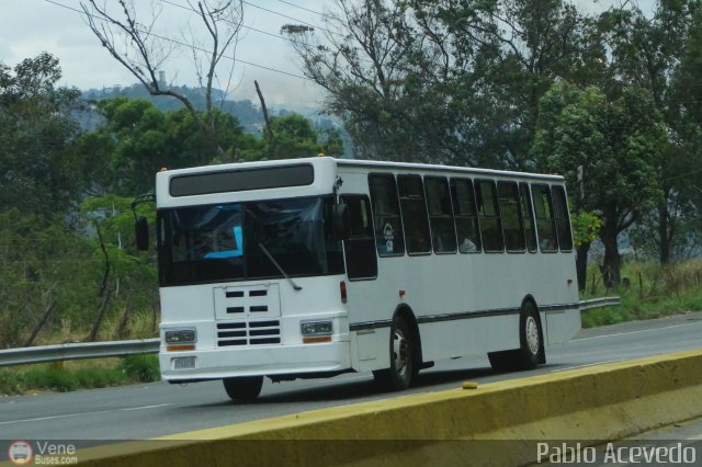 Colectivos Bripaz 122 por Pablo Acevedo