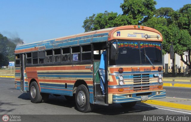 Transporte Agua Blanca 71 por Andr�s Ascanio
