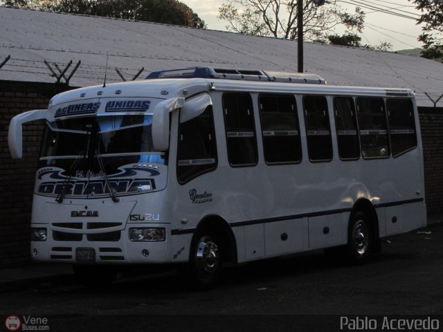 A.C. L�neas Unidas 29 por Pablo Acevedo