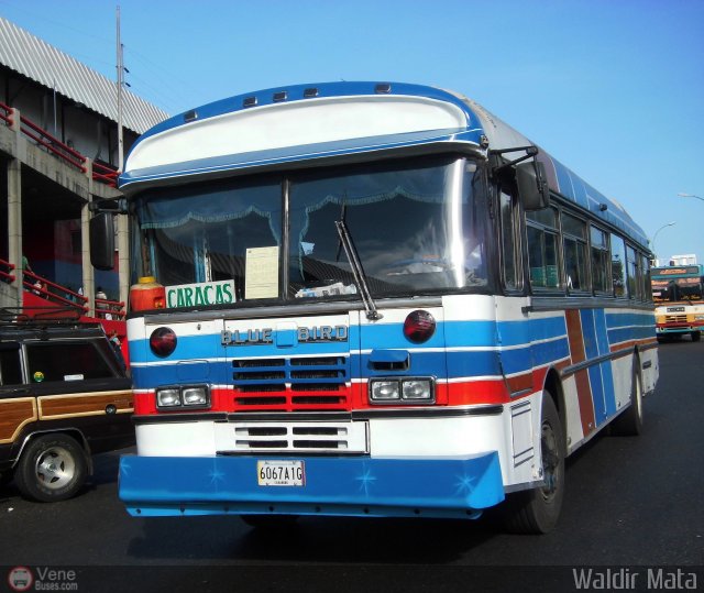 Expresos Pegamar 0017 por Waldir Mata