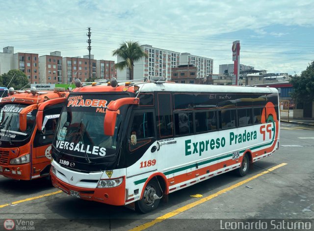Expreso Pradera Palmira 1189 por Leonardo Saturno