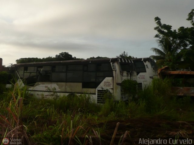 Gobernaci�n del Estado Monagas AC0004 por Alejandro Curvelo