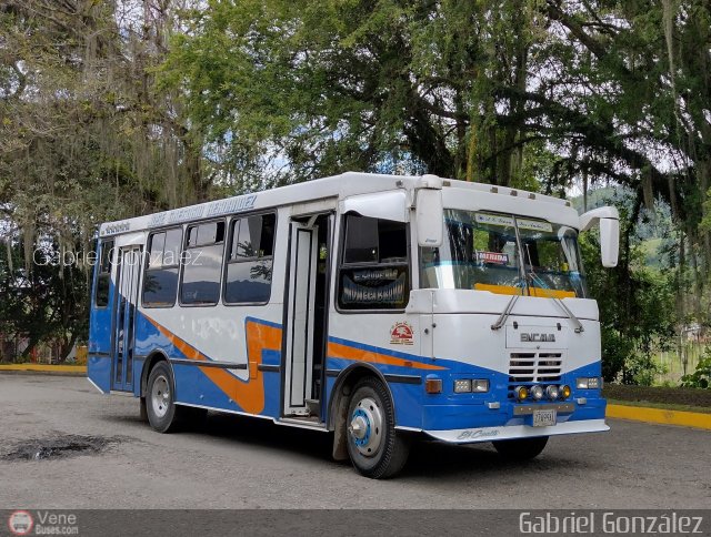 L�nea Los Andes S.C. 006 por Gabriel Gonz�lez