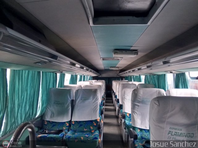 Expresos Flamingo 0141 por Josue Sánchez