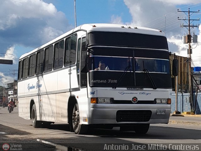 Ejecutivos Boga 14 por Antonio Mittilo