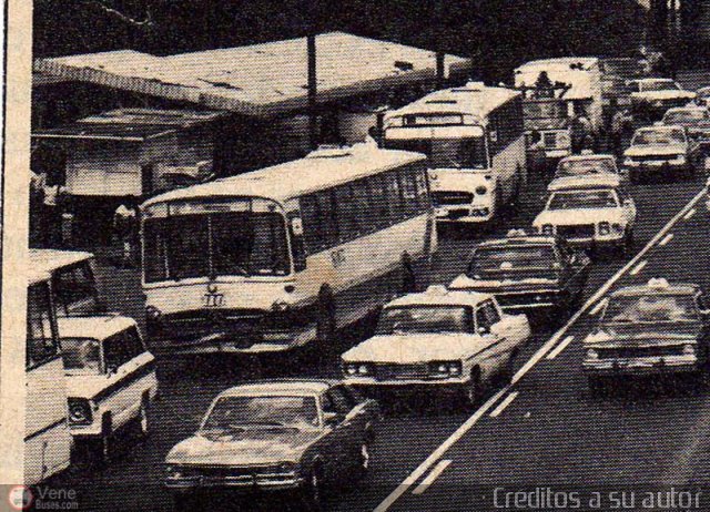 Instituto Municipal de Transporte Colectivo 777 por Edgardo Gonz�lez