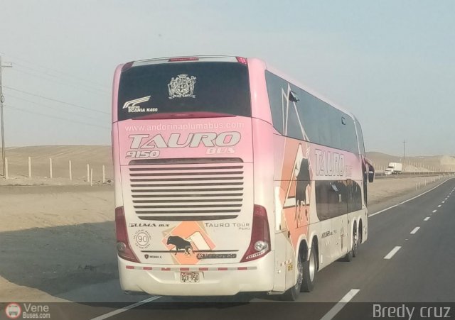 Transportes Tauro Bus 9150 por Leonardo Saturno