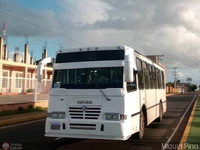 AN - Transcar 05 37 por Miguel Pino