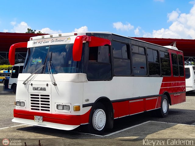 L�nea Santa B�rbara 01 por Kleyzer Calder�n