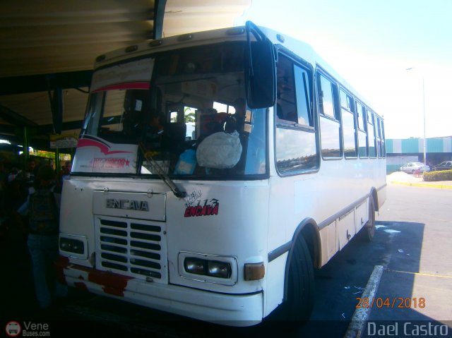 A.C.C. Turgar 95 por Dael Castro