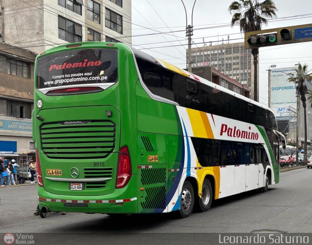 Expreso Internacional Palomino 8015 por Leonardo Saturno