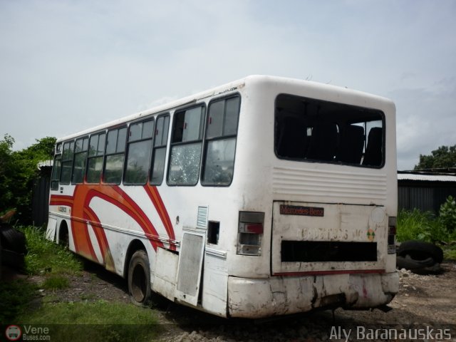 En Chiveras Abandonados Recuperacin 2205 por Aly Baranauskas
