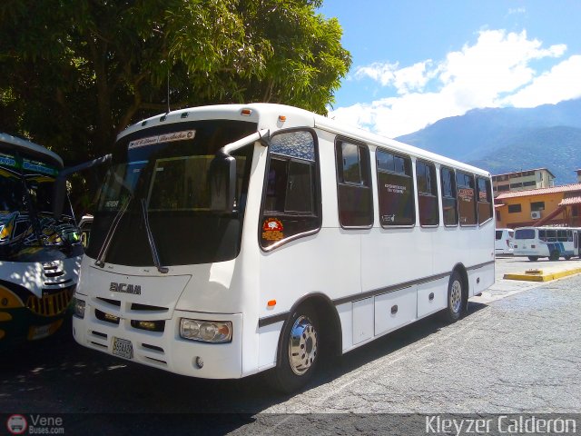 Lnea Los Andes S.C. 049 por Kleyzer Caldern