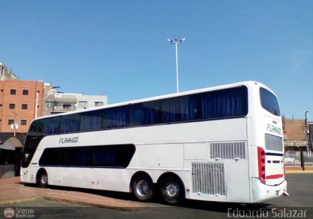 Expresos Flamingo 0033 por Josue S�nchez