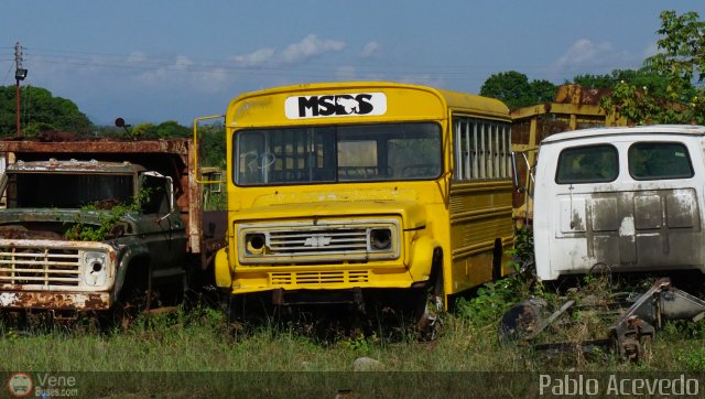 En Chiveras Abandonados Recuperaci�n  por Pablo Acevedo