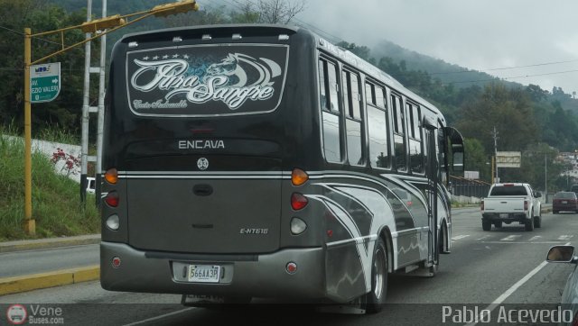 L�nea Los Andes S.C. 093 por Pablo Acevedo