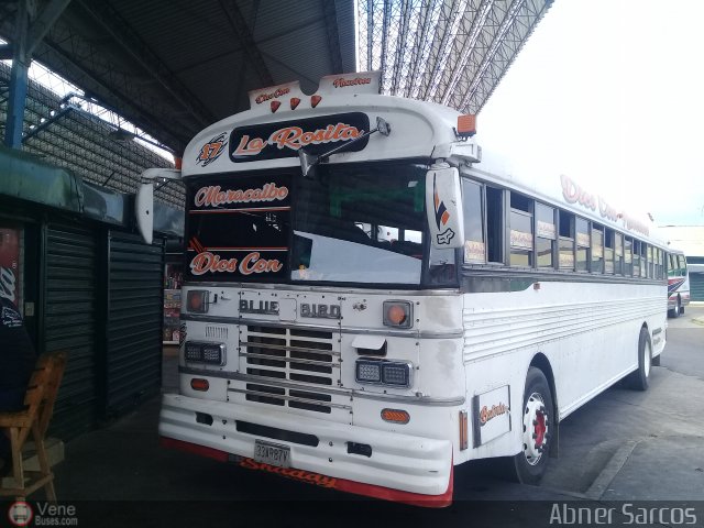 Colectivos La Rosita 017 por Abner Sarcos