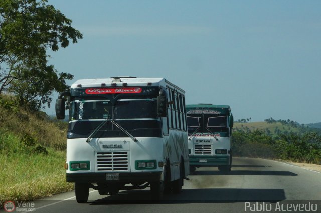 A.C. Expresos Barinas 073 por Pablo Acevedo