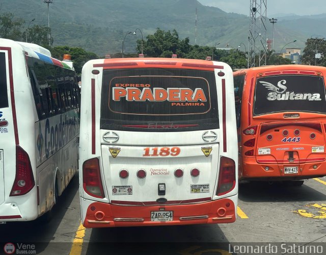 Expreso Pradera Palmira 1189 por Leonardo Saturno