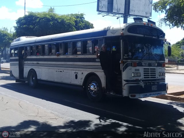 ZU - Ra�l Leoni 15 por Abner Sarcos